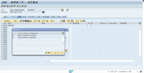 sap pm設(shè)備模塊 維修執(zhí)行 維修工單